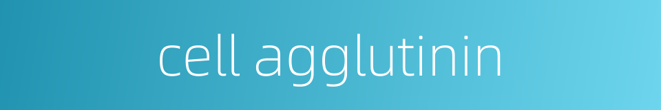 cell agglutinin的同义词