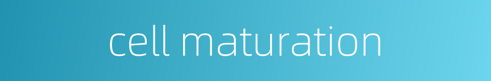 cell maturation的同义词