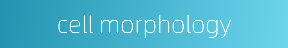 cell morphology的同义词