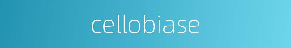 cellobiase的同义词