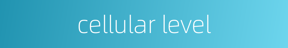 cellular level的同义词