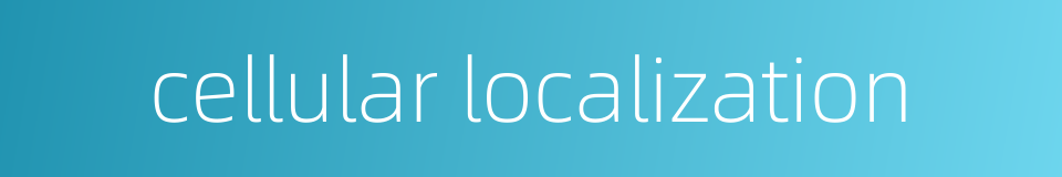 cellular localization的同义词