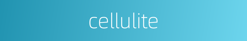 cellulite的同义词