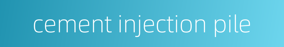 cement injection pile的同义词