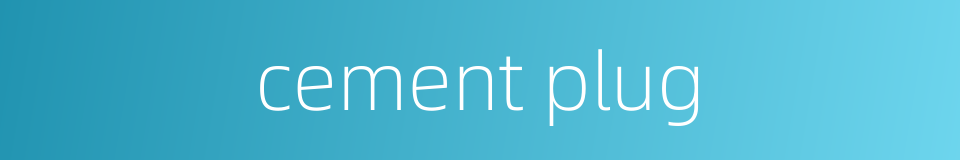 cement plug的同义词