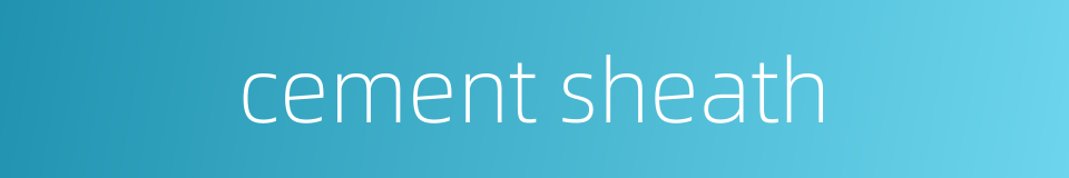 cement sheath的同义词