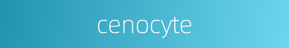 cenocyte的同义词