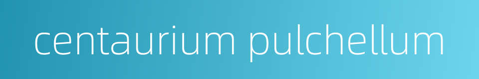 centaurium pulchellum的同义词