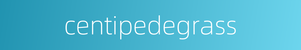centipedegrass的同义词