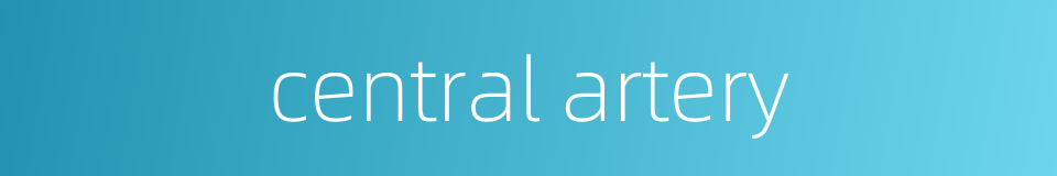central artery的同义词