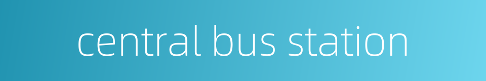 central bus station的同义词
