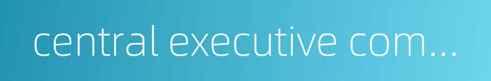 central executive committee的同义词