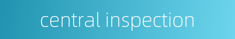 central inspection的同义词