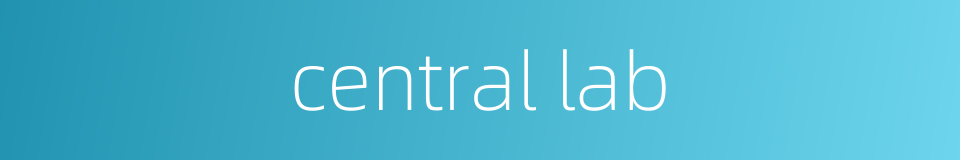 central lab的同义词