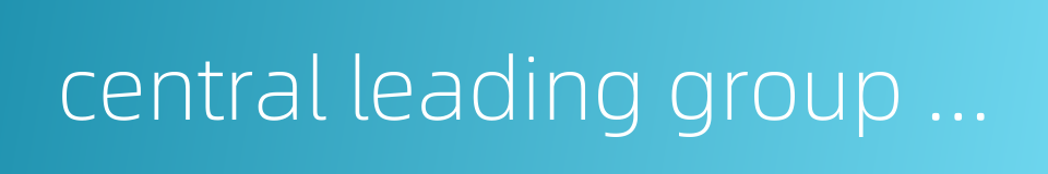 central leading group for inspection work的同义词