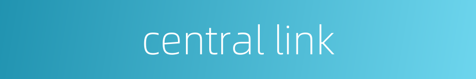 central link的同义词