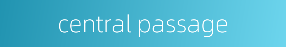 central passage的同义词
