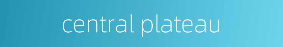 central plateau的同义词