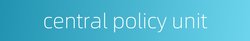 central policy unit的同义词
