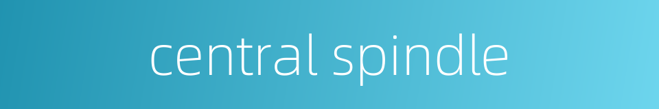 central spindle的同义词