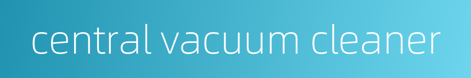 central vacuum cleaner的同义词