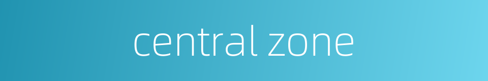 central zone的同义词