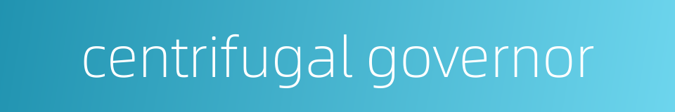 centrifugal governor的同义词