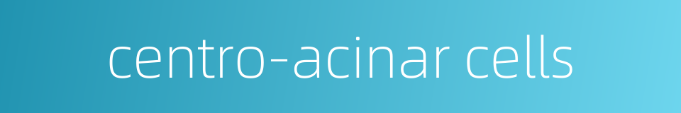 centro-acinar cells的同义词