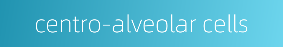 centro-alveolar cells的同义词