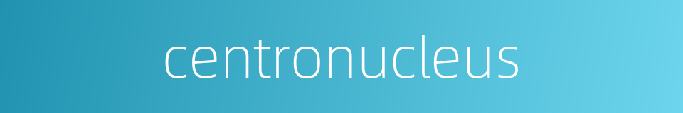 centronucleus的同义词