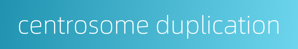 centrosome duplication的同义词