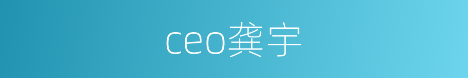 ceo龚宇的同义词