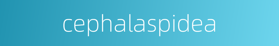 cephalaspidea的同义词