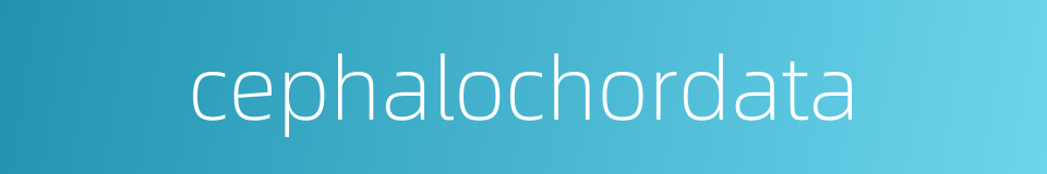 cephalochordata的同义词