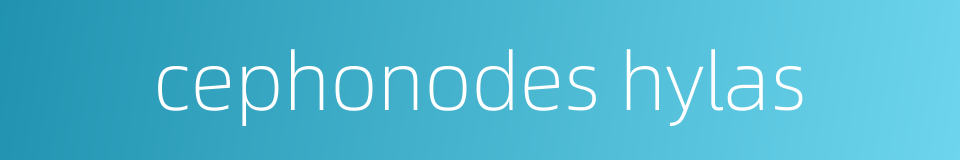 cephonodes hylas的同义词