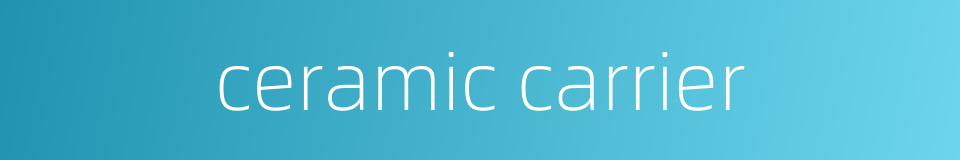 ceramic carrier的同义词