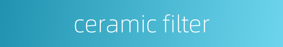 ceramic filter的同义词