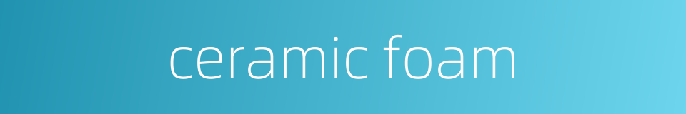 ceramic foam的同义词