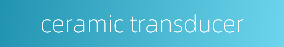 ceramic transducer的同义词