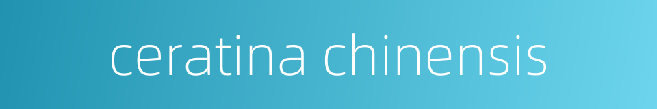 ceratina chinensis的同义词