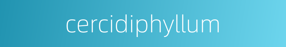 cercidiphyllum的同义词