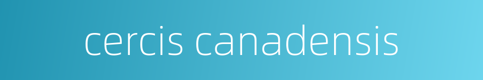 cercis canadensis的同义词