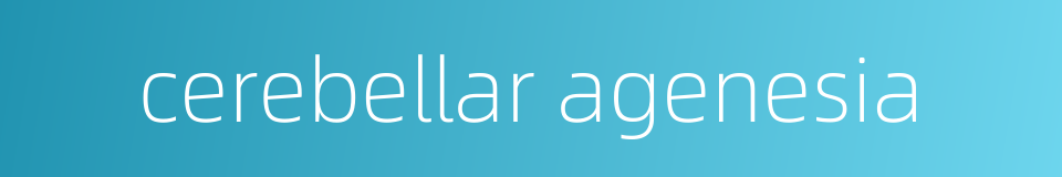 cerebellar agenesia的同义词