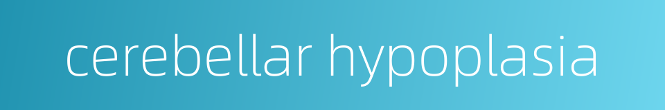 cerebellar hypoplasia的同义词