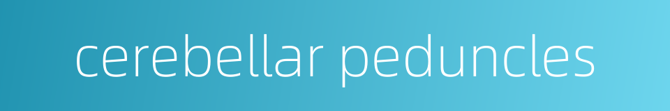 cerebellar peduncles的同义词