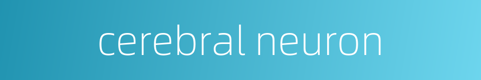cerebral neuron的同义词