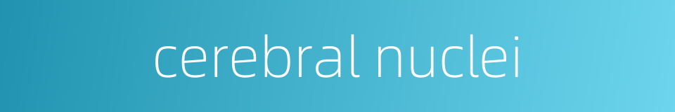 cerebral nuclei的同义词