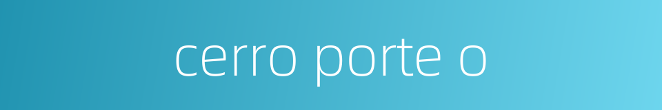 cerro porte o的同义词