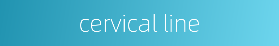 cervical line的同义词