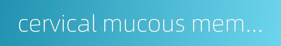 cervical mucous membrane的同义词